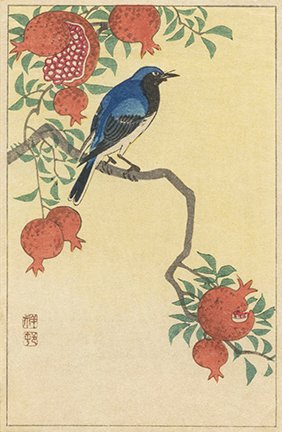 photo94.jpg