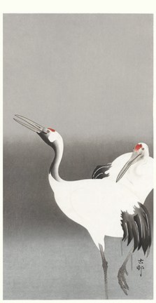 photo19.jpg