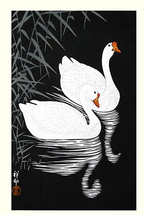 photo24.jpg
