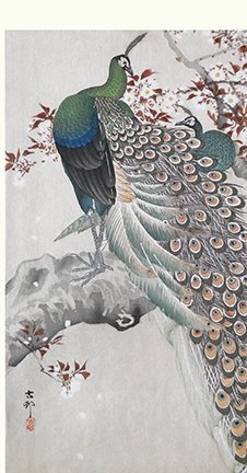 photo7.jpg