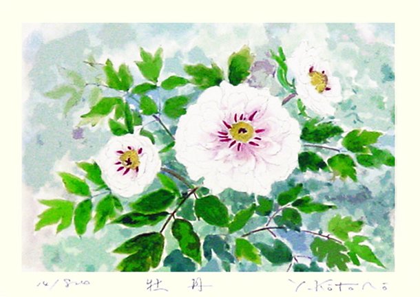 photo26.jpg