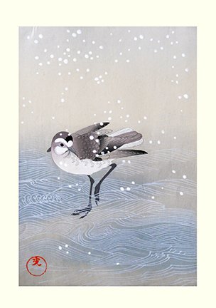 photo26.jpg