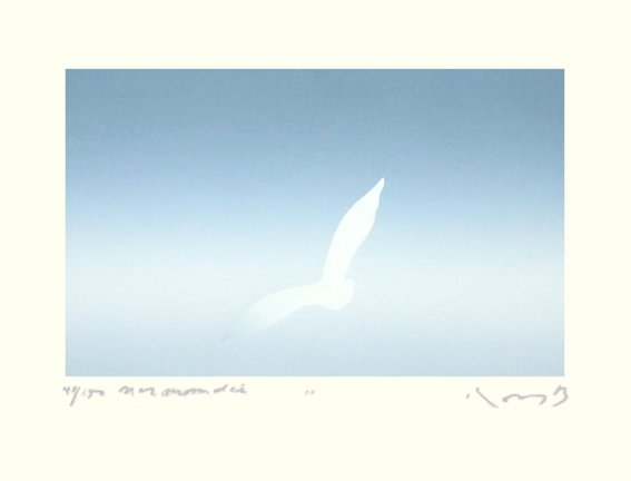 photo45.jpg