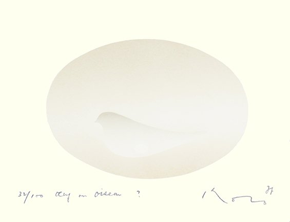 photo49.jpg