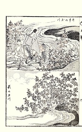 photo.jpg