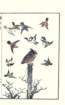 photo11_small.jpg
