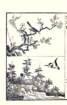 photo6_small.jpg