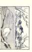 photo7_small.jpg