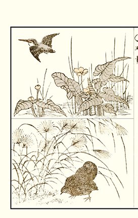 photo8.jpg
