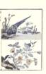 photo9_small.jpg