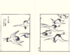 photo12_small.jpg