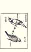 photo5_small.jpg