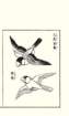 photo7_small.jpg