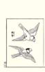 photo8_small.jpg