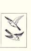 photo9_small.jpg