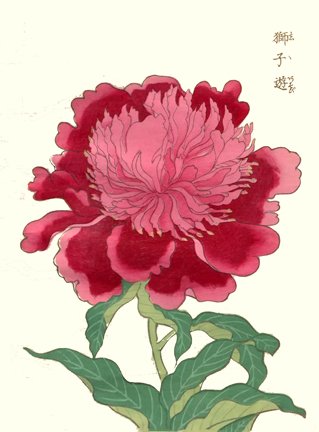 photo20.jpg