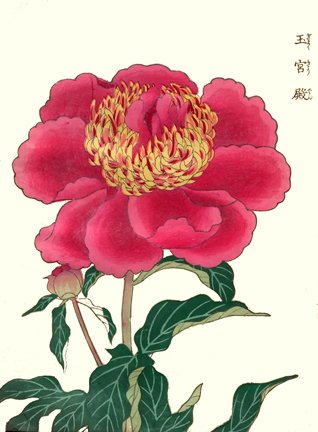 photo22.jpg