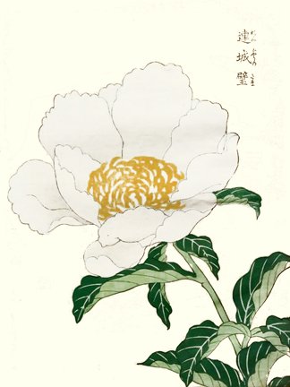 photo3.jpg
