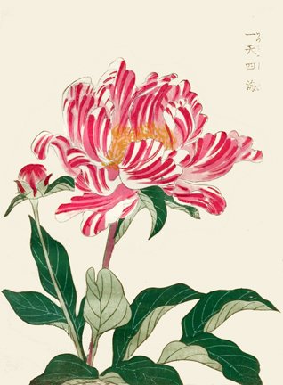photo6.jpg