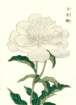 photo7_small.jpg