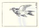 photo12_small.jpg