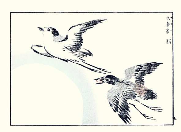 photo14.jpg