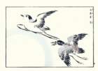 photo14_small.jpg
