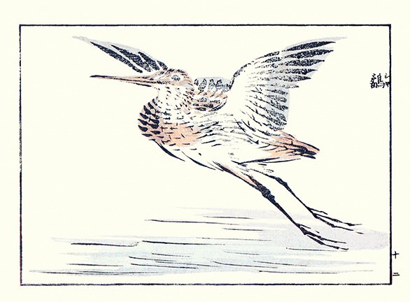 photo20.jpg