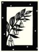 photo11_small.jpg