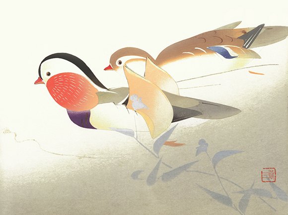 photo15.jpg