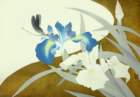 photo7_small.jpg