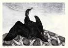 photo8_small.jpg