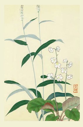photo11.jpg