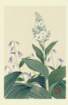 photo12_small.jpg