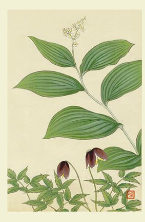 photo24.jpg
