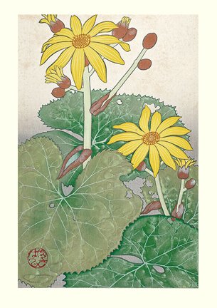 photo34.jpg