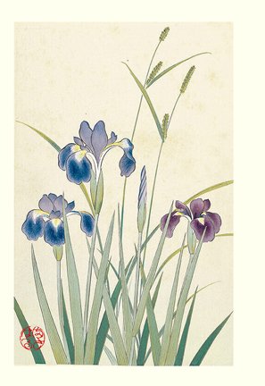 photo36.jpg