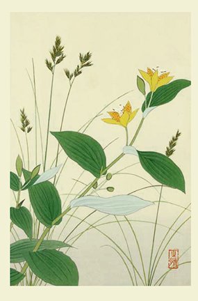 photo4.jpg