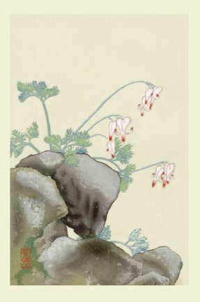photo7.jpg
