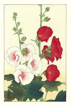 photo7.jpg