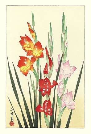 photo8.jpg
