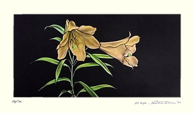 photo27.jpg