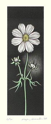 photo37.jpg