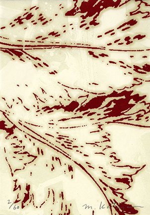photo13.jpg