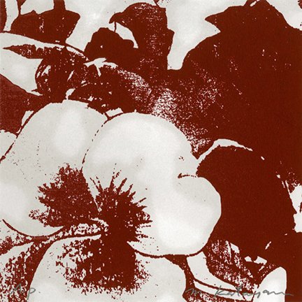 photo7.jpg