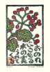 photo131_small.jpg