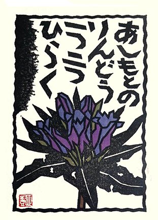 photo159.jpg