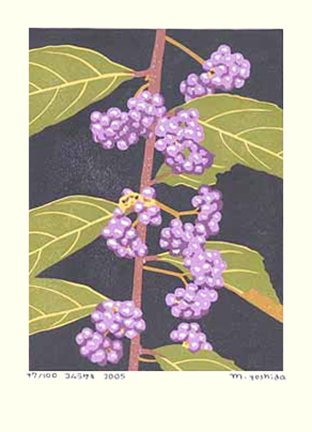 photo25.jpg