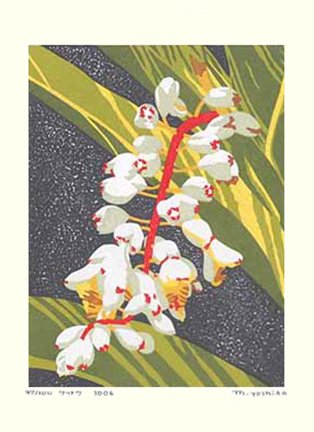 photo31.jpg