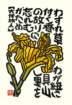 photo93_small.jpg
